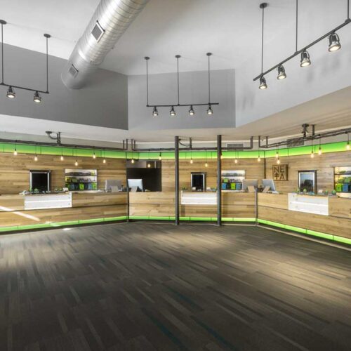 New England Treatment Access (NETA) Registered Dispensary<h5>Northampton, MA